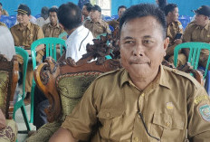 Ketahanan Pangan Pemdes Maras Bantan, Tanam Padi dan Jagung