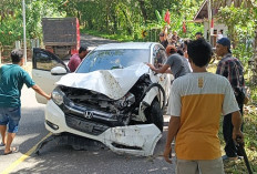 Ngantuk, Honda HRV Tabrak Pohon Duku