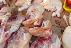 Harga Ayam Potong dan Ikan Nila Naik, Jelang Malam Tahun Baru