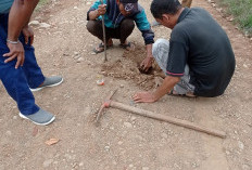 Pakai Dana Kelurahan, Rimbo Kedui Bangun Drainase dan Pengoralan Jalan