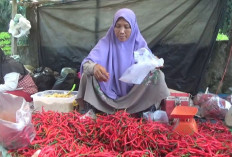 Pasca Idul Adha, Harga Cabai Merah Turun