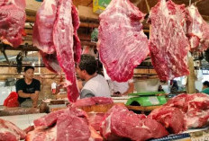 Harga Daging Sapi di Seluma, Bertahan Rp140 Ribu per Kg, Penjual Keluhkan Sepinya Pembeli