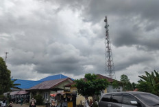 Atasi Blankspot, Kominfo Seluma Gandeng Provider, Dirikan BTS di Sepanjang Jalan Nasional