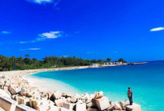  Bengkulu: Negeri Raflesia, Tapak Sejarah Soekarno, dan Eksotisme Pantai Barat Sumatera