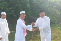 Bupati Seluma, Serahkan 7 Hewan Qurban Pemkab Seluma