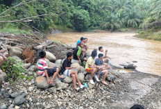 Pulang Dari Sawah, Lansia Warga Simpang Hanyut Terseret Arus Sungai