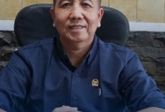 DPRD Bengkulu Selatan, Dukung Penertiban Sawit Ilegal di Hutan Lindung