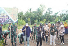 Pemkab Seluma, Dorong Petani Untuk Tanam Padi Darat