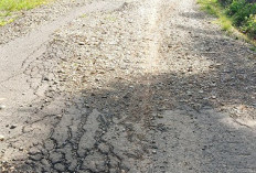 Akses Jalan Provinsi, Penghubung Desa Pering Baru Menuju Desa Tebat Sibun, Rusak