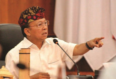 Gubernur Bali Soroti Dominasi Usaha Pariwisata oleh Warga Asing 