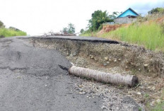 Bertahun-Tahun Amblas, Jalan Alternatif Tais-Napal Longsor, Tanpa Ada Perbaikan