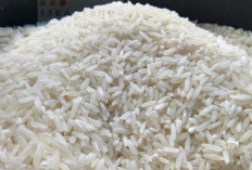 Harga Beras Kembali Normal, Sudah Ada Jual Rp200.000/Kaleng