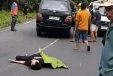 Kecelakaan Maut di Jalan Lintas Seluma, Satu Pengendara Motor Tew4s di Tempat