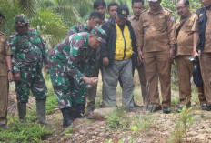   TMMD ke-128 di Seluma, Fokus Buka Akses dan Tingkatkan Kesejahteraan Warga