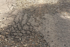 5 KM  Akses Jalan Provinsi Penghubung Desa Pering Baru Menuju Desa Tebat Sibun Rusak