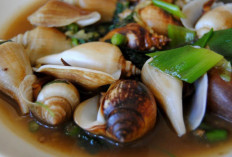 Gong Gong, Siput Laut Pedas Khas Batam: Dari Laut ke Meja, Begini Cara Membuatnya