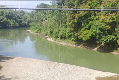 Sungai Air Talo, Ancam Rumah Penduduk