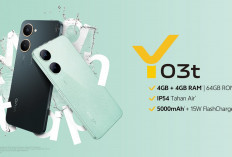 Vivo Y03t: Smartphone Entry-Level dengan Baterai Tahan Lama dan Layar 90Hz