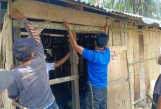 Swadaya, Masyarakat dan Pemdes Padang Kelapo, Perbaiki Rumah Warga Tidak Mampu