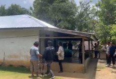 Polsek Talo Seluma Ringkus Pelaku Curanmor Saat Berada Di Rumahnya