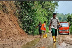  Longsor di Desa Kayu Ajaran BS, Tim BPBD BS Cepat Tangani