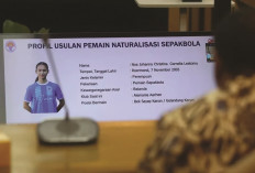 Komisi X DPR Soal Pemain Naturalisasi: Semoga Ini Terakhir, Kita Tak Miskin Atlet