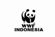 Kemenko Pangan dan WWF-Indonesia Berkolaborasi, Dorong Transformasi Sawit untuk Kemandirian Pangan
