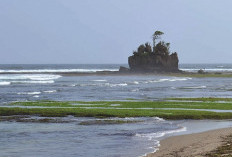 Pantai Way Hawang,Keindahan Permata Kaur