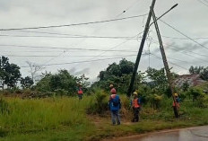 Akibat Hujan Badai, 15 Tiang Listrik Ambruk Ditimpa Pohon, Listrik Mati 