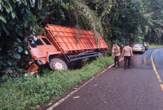 Handle Gigi Tidak Berfungsi, Truk Fuso Terperosok ke Siring