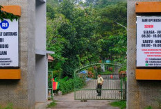 Menjelajah Studio Alam TVRI: Wisata Asri di Tengah Kota Depok