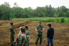 Dandim dan Babin Berikan Pendampingan Petani Kelurahan Gunung Ayu