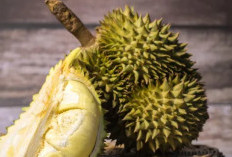 13 Manfaat Buah Durian, bagi Kesehatan