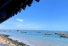 Pantai Panjang Bengkulu, Menawan Wisatawan dengan Hamparan Pasir Putih