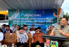  Bupati Rifai dan Wabup Yevri Resmikan Penerangan di Tebat Gelumpai, Agar Warga Nyaman 