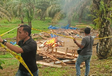 Pasca Insiden Berdarah, Warung Remang-Remang di Tebat Sibun Dibongkar dan Dibakar
