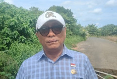  Sekda Seluma Sebut Penanaman Pohon Gaharu Jadi Simbol Persatuan di HUT ke-23 Seluma