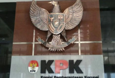 Rugikan Negara Rp 893 Miliar, Akusisisi PT JN Oleh ASDP jadi Fokus KPK, Seret 4 Tsk