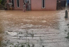 Banjir di Talo Hanyut 20 Karung Padi  Tono, 6 Rumah Terendam 