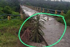 Akibat Longsor, Jembatan di Seluma Selatan Terancam Runtuh