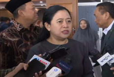 Puan, Surat Pemecatan Tia Rahmania, Diberikan ke KPU Sebelum Kritik Nurul Gufron