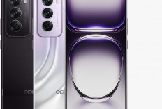 OPPO Reno12 Pro: Flagship Stylish dengan Kamera Cerdas dan Performa Tangguh