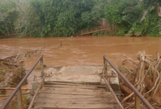 Bupati, Usulkan Pembangunan Jembatan Cenggri