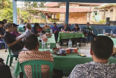 Kejelasan dari PT.MSS Belum Ada, Anggota Koperasi Akan Panen Mandiri