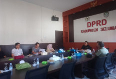 Mulai Bergerak Usut Honorer Siluman, DPRD RDP Dengan BKPSDM, Selanjutnya Akan Panggil OPD