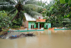 Diguyur Hujan, 14 Rumah di 3 Desa Terendam Banjir 