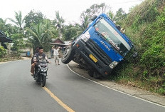 Truk Ekspedisi Muatan Tepung, Terperosok di Talo Kecil Seluma