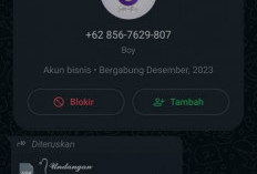 Berkedok APK Undangan, Penipuan Pesan Aplikasi di WhatsApp, Masih Terjadi