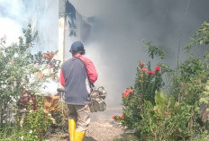 Cegah DBD, Pemdes Talang Tinggi Lakukan Fogging