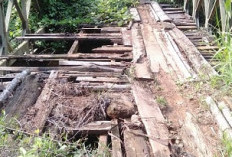 Jembatan Penghubung Talang - Beringin Batu Ampar Rusak, Warga Kesulitan Melintas